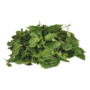 Scent Leaf Bunch