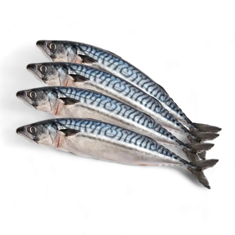 Fish and Seafoods