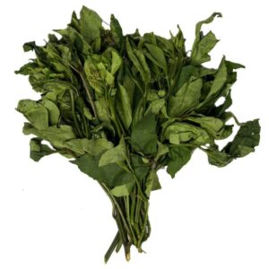 Fresh Ugu Bunch