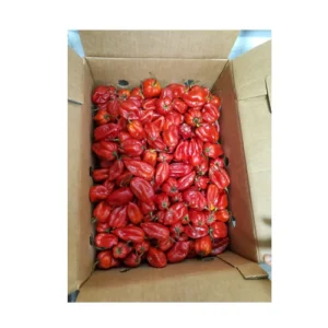 Fresh Scotch Bonnet Pepper (Rodo) Half Box 1.25kg